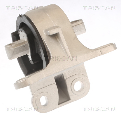 TRISCAN 8505 10129 Lagerung, Motor