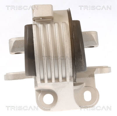 TRISCAN 8505 10129 Lagerung, Motor