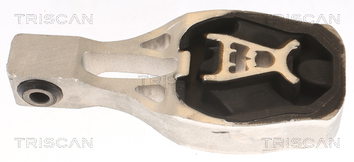 TRISCAN 8505 10130 Lagerung, Motor