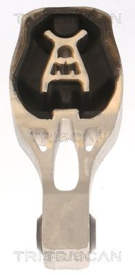 TRISCAN 8505 10130 Lagerung, Motor