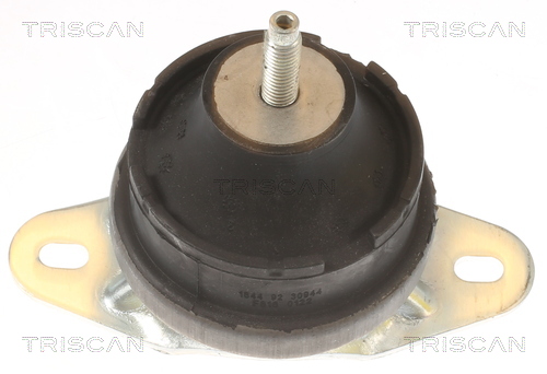 TRISCAN 8505 10131 Lagerung, Motor