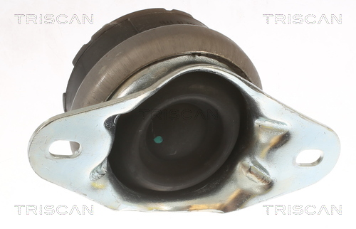 TRISCAN 8505 10131 Lagerung, Motor