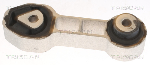 TRISCAN 8505 10132 Lagerung, Motor