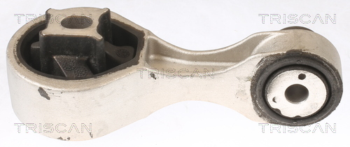 TRISCAN 8505 10133 Lagerung, Motor