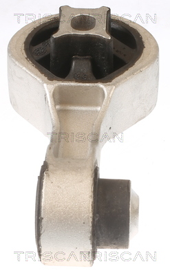 TRISCAN 8505 10133 Lagerung, Motor
