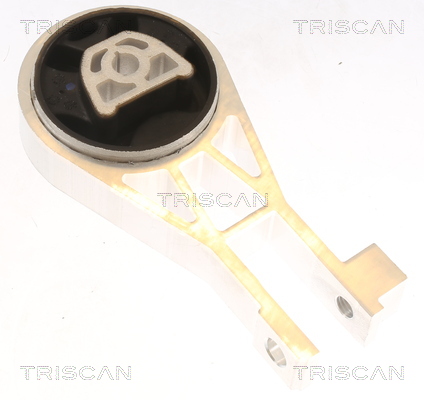 TRISCAN 8505 10134 Lagerung, Motor