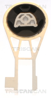 TRISCAN 8505 10134 Lagerung, Motor