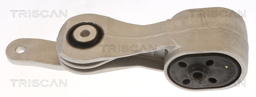 TRISCAN 8505 10135 Lagerung, Motor
