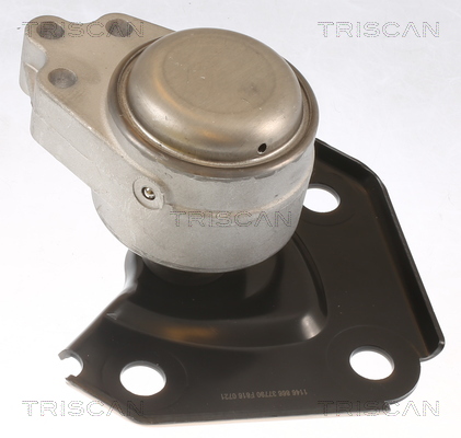 TRISCAN 8505 10136 Lagerung, Motor