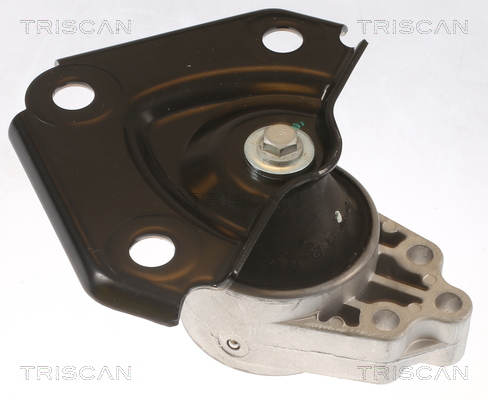 TRISCAN 8505 10136 Lagerung, Motor