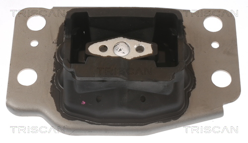 TRISCAN 8505 10137 Lagerung, Motor