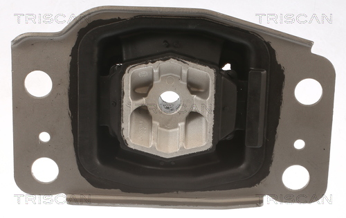 TRISCAN 8505 10137 Lagerung, Motor