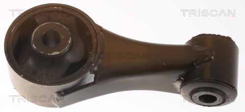 TRISCAN 8505 10138 Lagerung, Motor