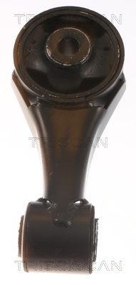TRISCAN 8505 10138 Lagerung, Motor
