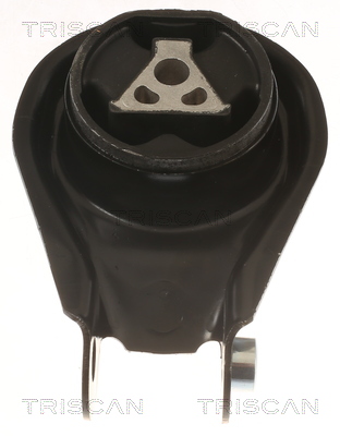 TRISCAN 8505 10200 Lagerung, Motor