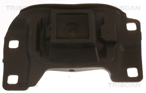TRISCAN 8505 10201 Lagerung, Motor