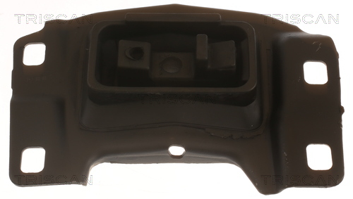 TRISCAN 8505 10201 Lagerung, Motor