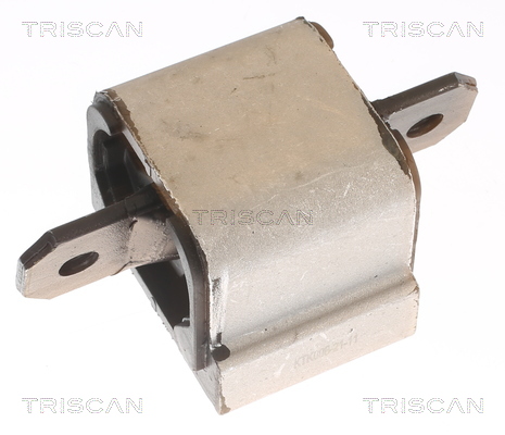 TRISCAN 8505 10203 Lagerung, Automatikgetriebe