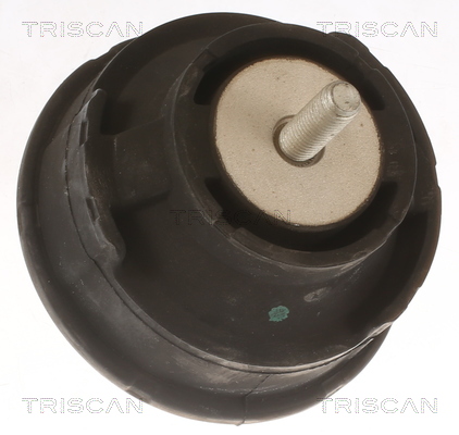 TRISCAN 8505 11100 Lagerung, Motor