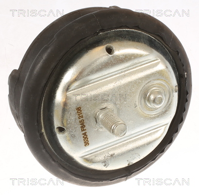 TRISCAN 8505 11100 Lagerung, Motor