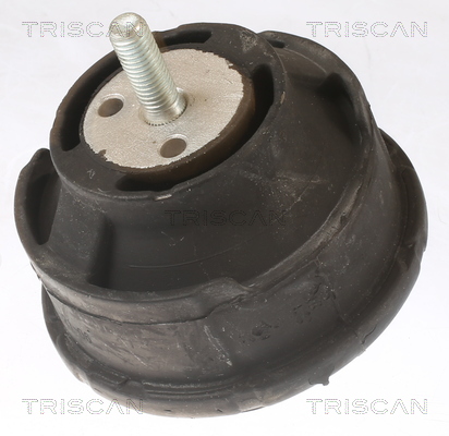 TRISCAN 8505 11101 Lagerung, Motor