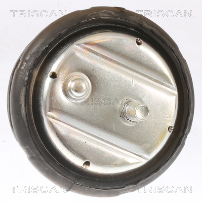 TRISCAN 8505 11101 Lagerung, Motor