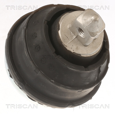 TRISCAN 8505 11102 Lagerung, Motor