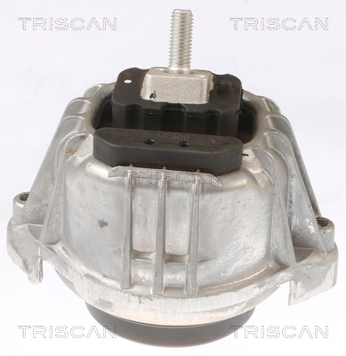 TRISCAN 8505 11103 Lagerung, Motor