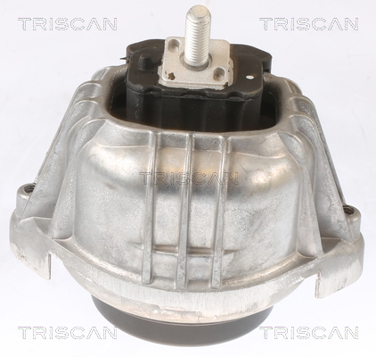 TRISCAN 8505 11103 Lagerung, Motor