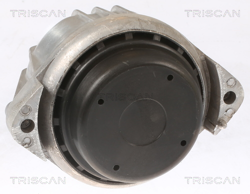 TRISCAN 8505 11103 Lagerung, Motor