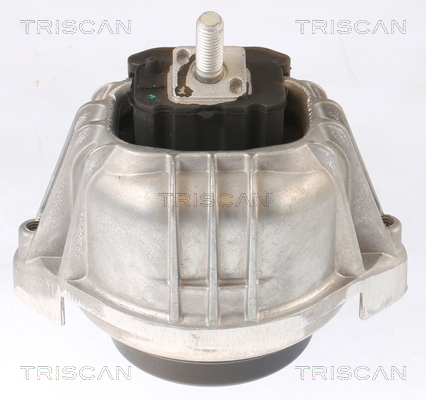 TRISCAN 8505 11104 Lagerung, Motor