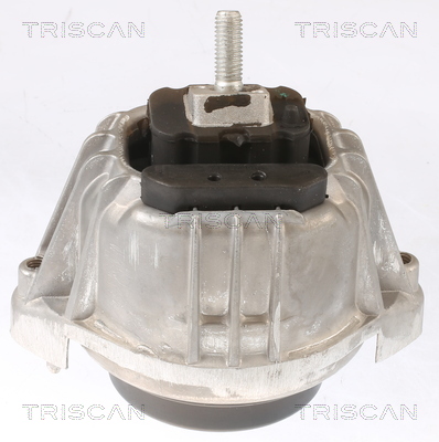 TRISCAN 8505 11104 Lagerung, Motor