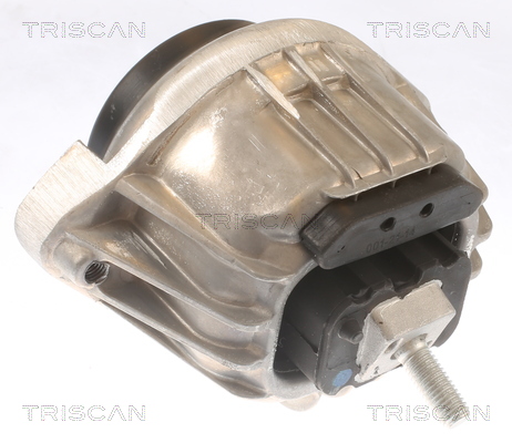 TRISCAN 8505 11105 Lagerung, Motor