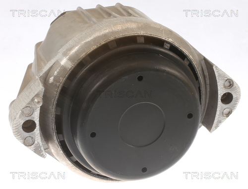 TRISCAN 8505 11105 Lagerung, Motor