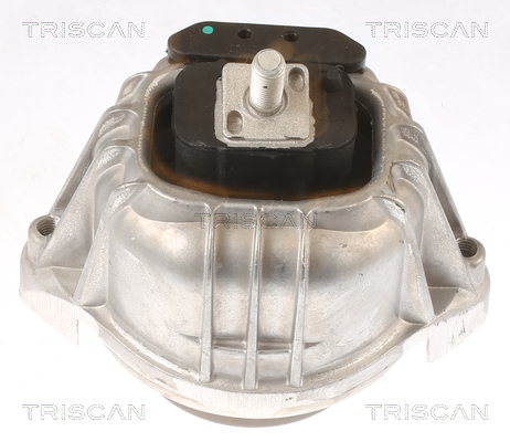 TRISCAN 8505 11106 Lagerung, Motor
