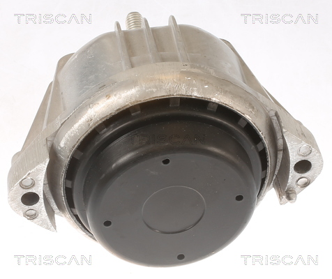 TRISCAN 8505 11106 Lagerung, Motor