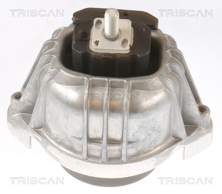 TRISCAN 8505 11107 Lagerung, Motor