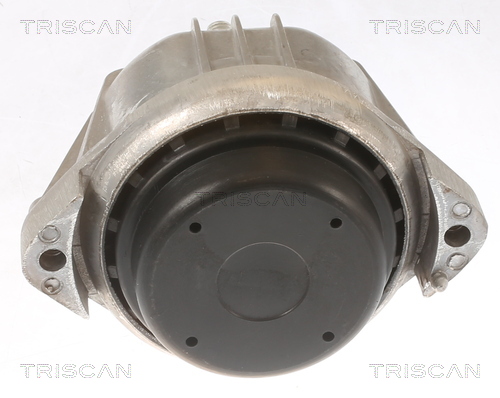 TRISCAN 8505 11107 Lagerung, Motor