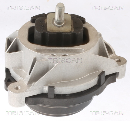 TRISCAN 8505 11108 Lagerung, Motor