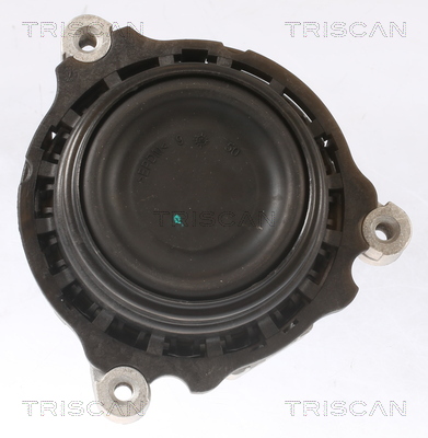 TRISCAN 8505 11108 Lagerung, Motor