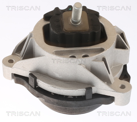 TRISCAN 8505 11109 Lagerung, Motor
