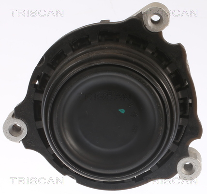 TRISCAN 8505 11109 Lagerung, Motor