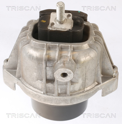 TRISCAN 8505 11110 Lagerung, Motor