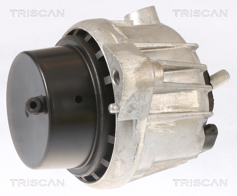 TRISCAN 8505 11110 Lagerung, Motor