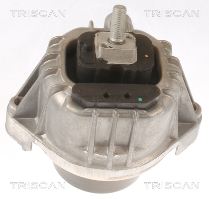 TRISCAN 8505 11111 Lagerung, Motor