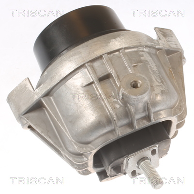 TRISCAN 8505 11111 Lagerung, Motor