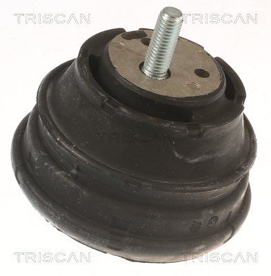 TRISCAN 8505 11112 Lagerung, Motor