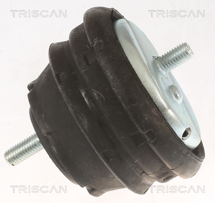 TRISCAN 8505 11112 Lagerung, Motor