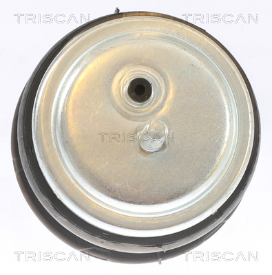TRISCAN 8505 11113 Lagerung, Motor