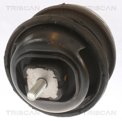 TRISCAN 8505 11113 Lagerung, Motor